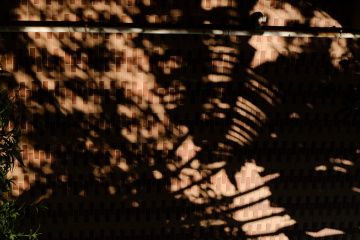 DSCF0121