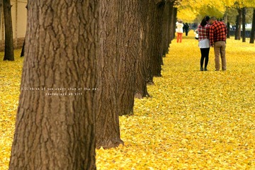 “DSC_9129”为智能对象-1.jpg