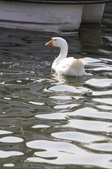 537270