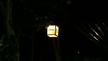1540804