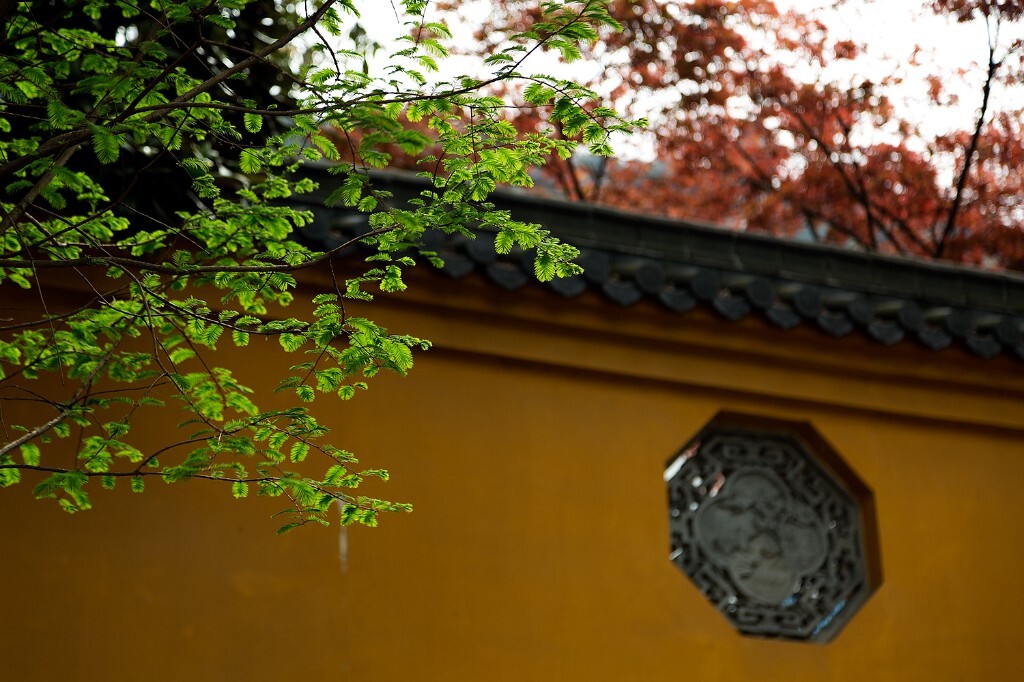 绿树暗藏阴,古寺佛堂深。