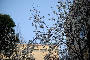 AE0CEC87-A753-4618-8778-38316A9D7B78/L0/001