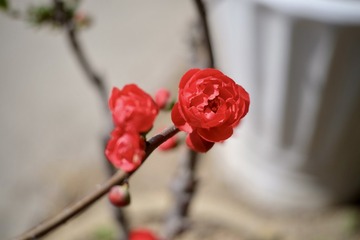 84CCFEF4-86AE-4322-9DB3-30BCBC6F9373/L0/001