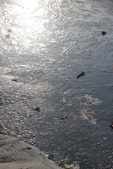 1000020152