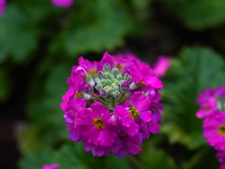 R0013991.JPG