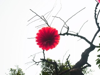 R0014000.JPG