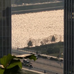 1000001807