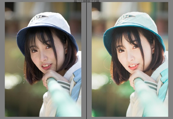 12040469.jpg