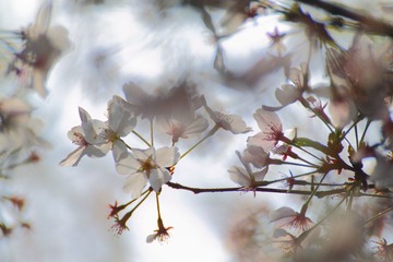 _MG_7120.JPG