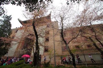 _MG_7197.JPG