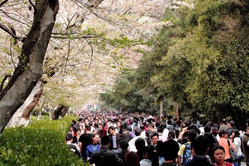 _MG_7214.JPG