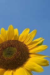 _DSC0011.jpg