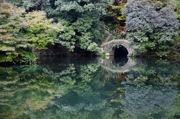 _DSC0020.jpg