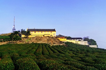 DSC_0110.jpg