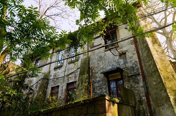 DSC_0069.jpg