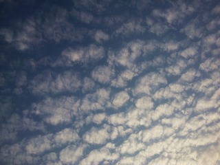 WP_001341.jpg