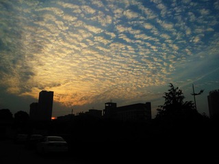 WP_001354.jpg