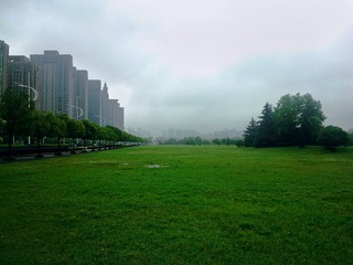 WP_001590 copy.jpg