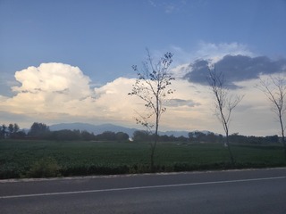 1000066232