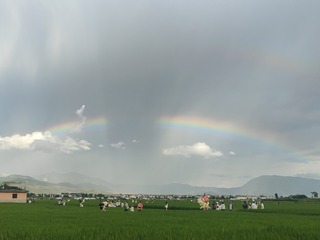 1000066302