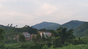 1000016477
