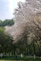 D9D9A30A-FA16-47C3-AF61-0385EA7CF51D/L0/001