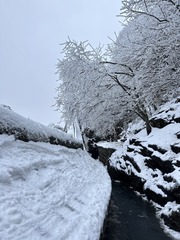 4B1D526B-0F23-435E-9B84-B4890E419F74/L0/001