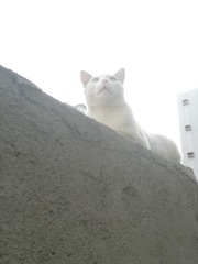 1672207