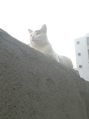1672209