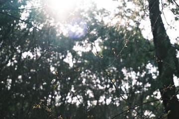 B062153D-3696-4299-9C0C-CE89B3B13D54/L0/001