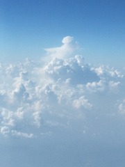 66768