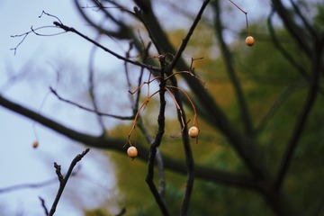 12B57B02-1175-45DB-8A87-ED40B10FD475/L0/001