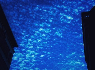 7892A168-FD7C-4FD6-BE30-66761DE3DD8F/L0/001