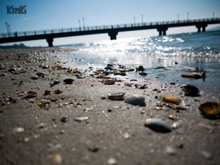 P1110054.jpg