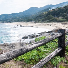 P1230200