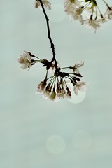 7E02177D-2D4A-4A44-8EC5-6118187ECE36/L0/001