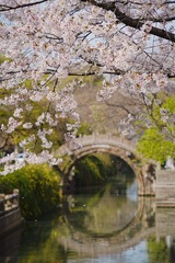 CD3EE860-22C1-4913-A232-06C25B0B69B1/L0/001