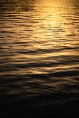 E5677E73-75C7-49D9-8647-31E059190D93/L0/001