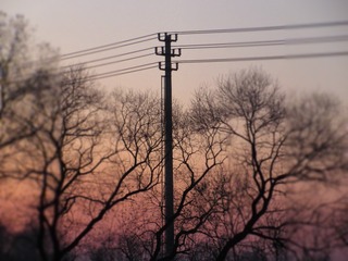 259F0F08-2619-40B4-A8F8-6235D713BF24/L0/001