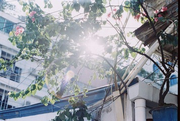 CNV000047.JPG