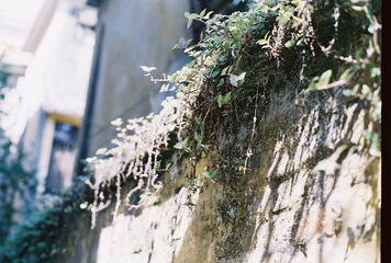 CNV000073.JPG