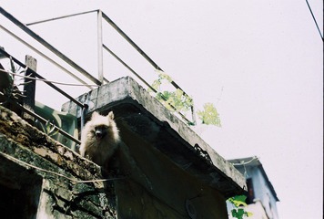 CNV000033.JPG