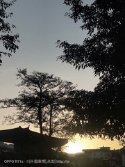 547270