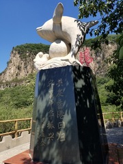 558