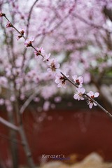 1604368
