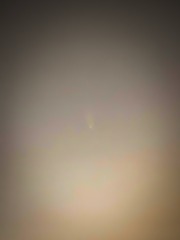 1000042653