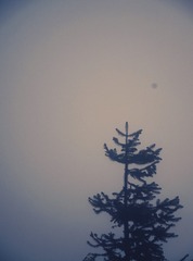 5B9831C4-E3DF-41CD-B6C9-4C6B7CBCA0B8/L0/001