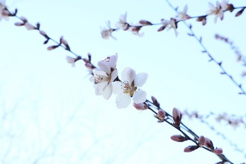 11B0E5AE-AB3C-42E1-9A3E-9D79D85A7E45/L0/001