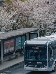 283684