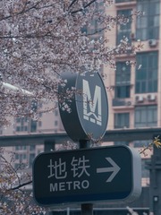 283686